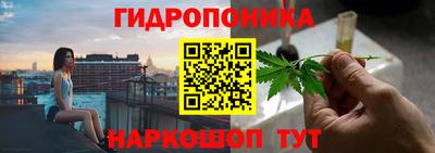 гашик Донской