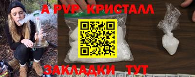 гашик Донской